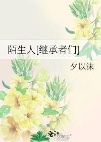 陌生人[继承者们]