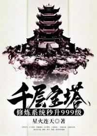 千层宝塔修炼系统秒升999级