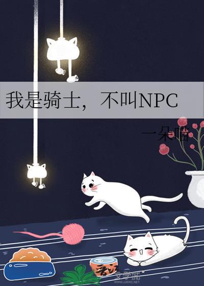 我是骑士，不叫NPC