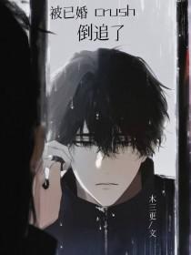 被已婚crush倒追了[重生]